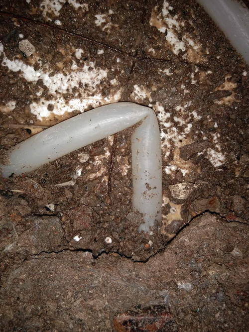 青县堵点精准查找